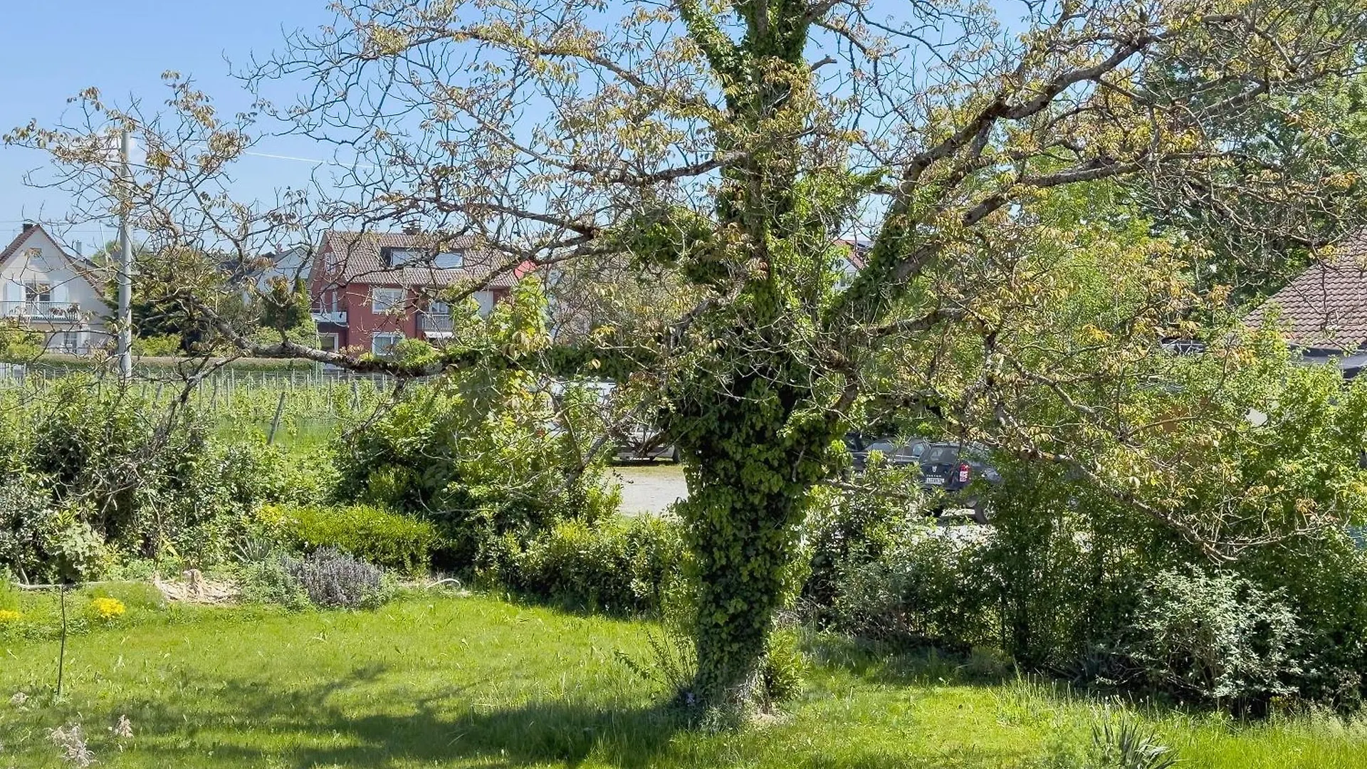 Apartment Ferienwohnungen Gierer Nonnenhorn